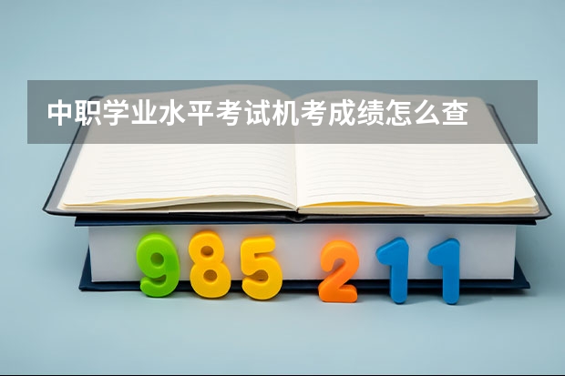 中职学业水平考试机考成绩怎么查