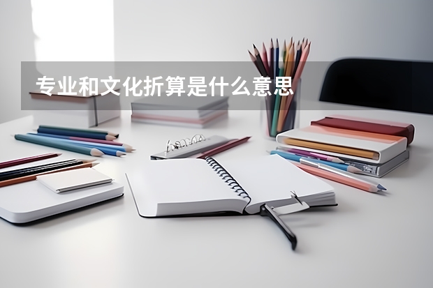 专业和文化折算是什么意思