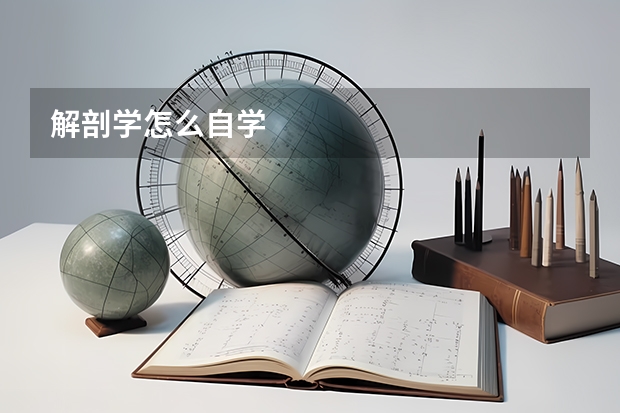 解剖学怎么自学