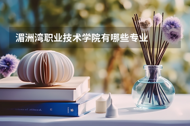 湄洲湾职业技术学院有哪些专业