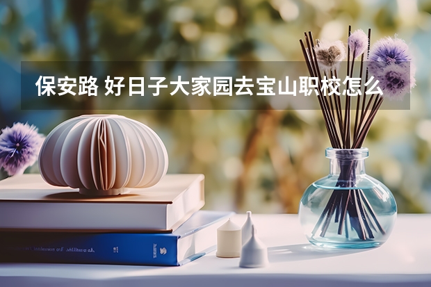 保安路 好日子大家园去宝山职校怎么乘车