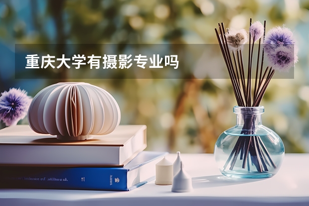 重庆大学有摄影专业吗