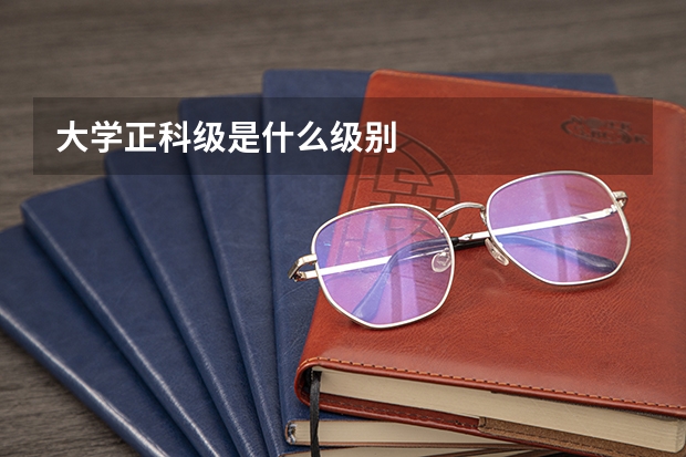 大学正科级是什么级别