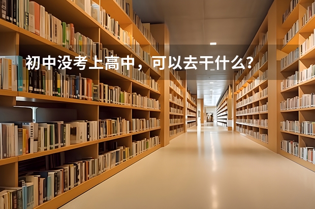 初中没考上高中，可以去干什么？