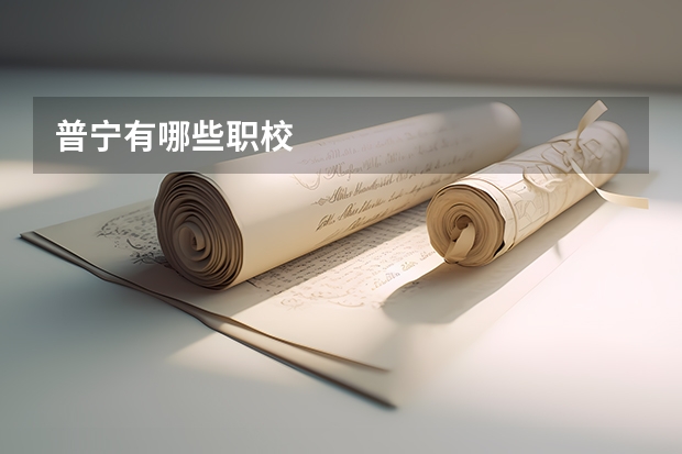 普宁有哪些职校