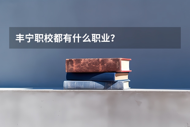 丰宁职校都有什么职业？