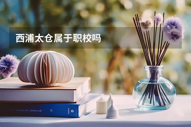 西浦太仓属于职校吗