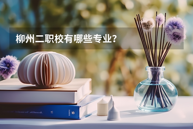 柳州二职校有哪些专业？