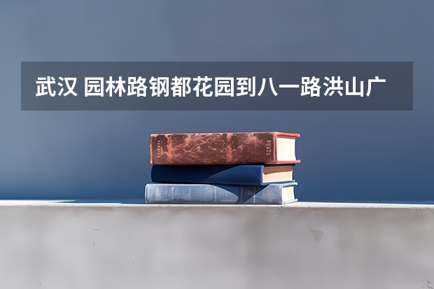 武汉 园林路钢都花园到八一路洪山广场怎么走