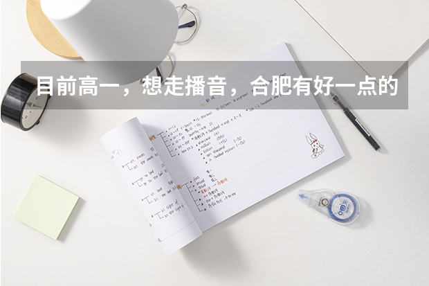 目前高一，想走播音，合肥有好一点的播音机构推荐一下吗？