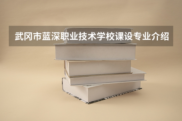 武冈市蓝深职业技术学校课设专业介绍