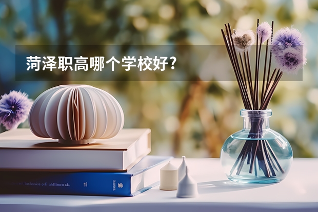 菏泽职高哪个学校好?
