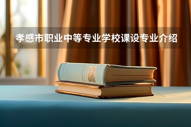 孝感市职业中等专业学校课设专业介绍