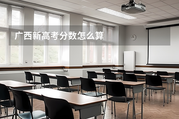 广西新高考分数怎么算