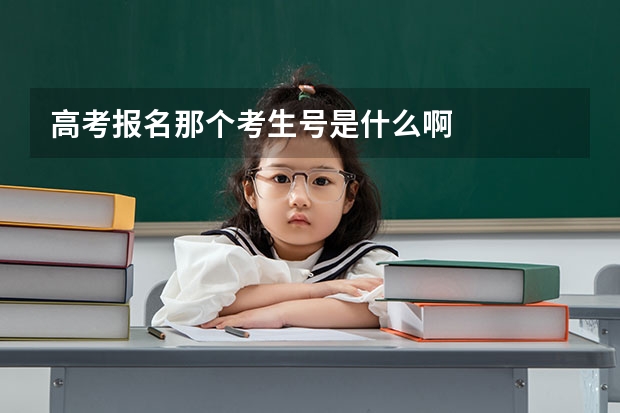 高考报名那个考生号是什么啊