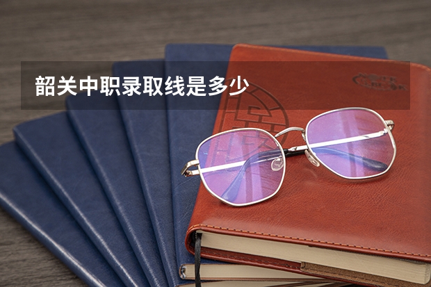 韶关中职录取线是多少