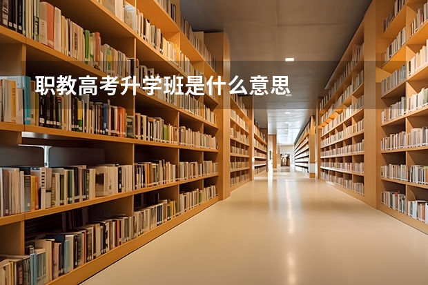 职教高考升学班是什么意思