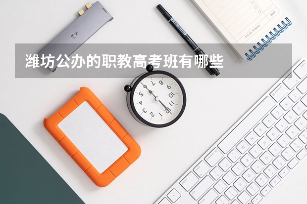 潍坊公办的职教高考班有哪些