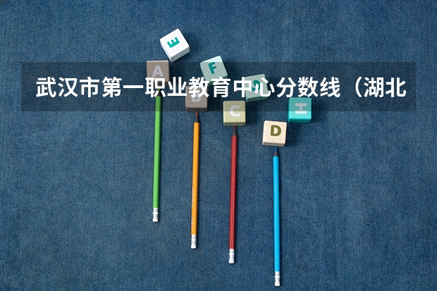 武汉市第一职业教育中心分数线（湖北省技能高考征集志愿分数线）