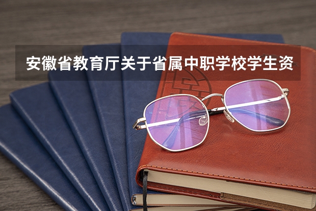 安徽省教育厅关于省属中职学校学生资助工作检查情况的通报存在问题（安徽中职学校排名前十）