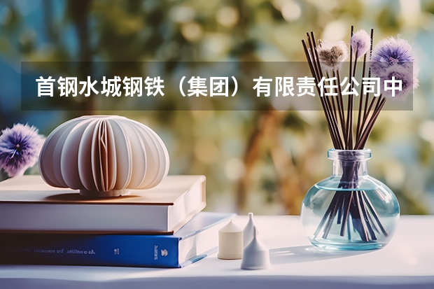 首钢水城钢铁（集团）有限责任公司中等专业学校课设专业介绍
