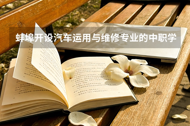 蚌埠开设汽车运用与维修专业的中职学校名单有哪些