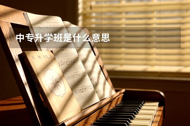 中专升学班是什么意思