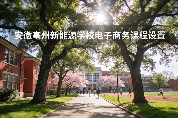 安徽亳州新能源学校电子商务课程设置与专业能力要求