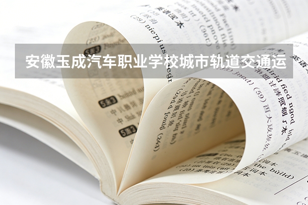 安徽玉成汽车职业学校城市轨道交通运营服务课程设置与专业能力要求