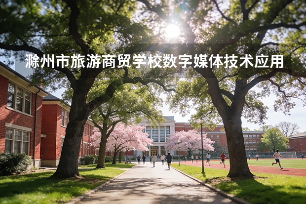 滁州市旅游商贸学校数字媒体技术应用课程设置与专业能力要求