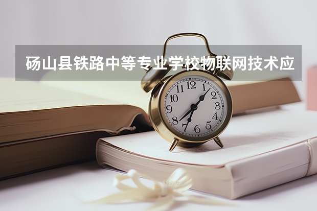 砀山县铁路中等专业学校物联网技术应用课程设置与专业能力要求