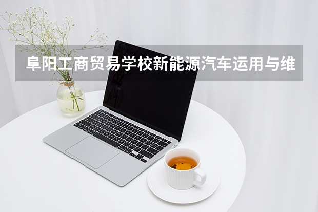 阜阳工商贸易学校新能源汽车运用与维修课程设置与专业能力要求