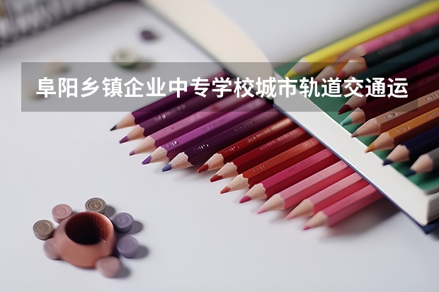 阜阳乡镇企业中专学校城市轨道交通运营服务课程设置与专业能力要求