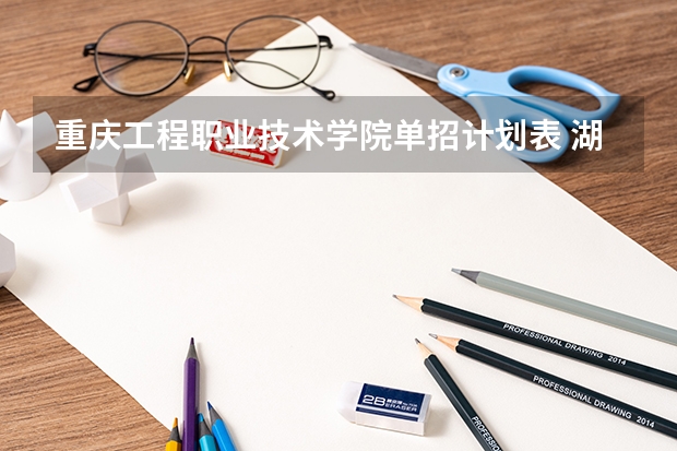 重庆工程职业技术学院单招计划表 湖北的单招卫校有哪些