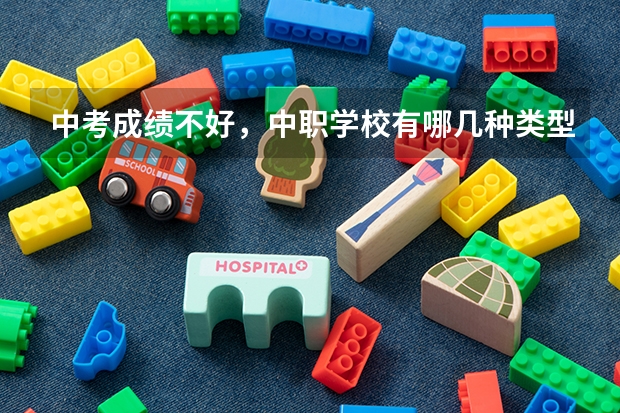 中考成绩不好，中职学校有哪几种类型可以选 山东省民办中职学校有哪些
