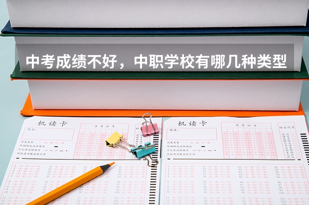 中考成绩不好，中职学校有哪几种类型可以选 岳阳有哪些办学条件比较好的民办中职学校