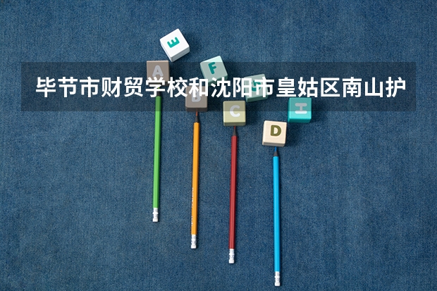 毕节市财贸学校和沈阳市皇姑区南山护理中等职业学校哪个好