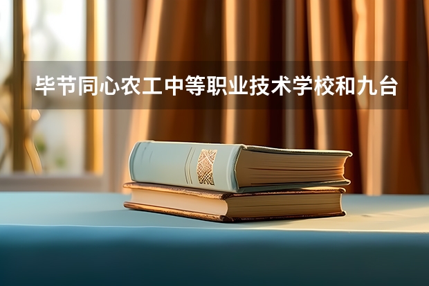 毕节同心农工中等职业技术学校和九台区职业技术教育中心哪个好