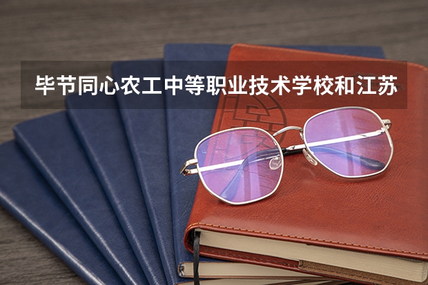毕节同心农工中等职业技术学校和江苏省溧阳中等专业学校哪个好