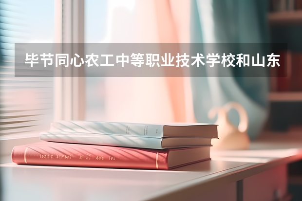 毕节同心农工中等职业技术学校和山东工艺美术学院附属中等美术学校哪个好