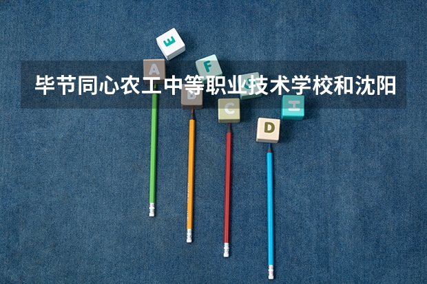 毕节同心农工中等职业技术学校和沈阳市和平区睿智学校哪个好