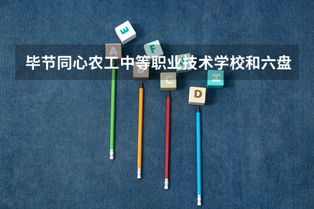 毕节同心农工中等职业技术学校和六盘水市知易职业技术学校哪个好