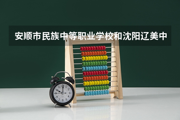 安顺市民族中等职业学校和沈阳辽美中等职业学校哪个好