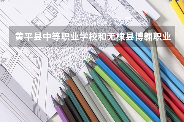 黄平县中等职业学校和无棣县博翱职业中等专业学校哪个好
