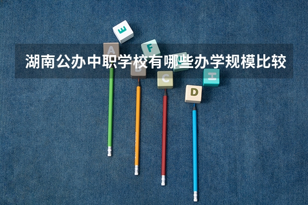 湖南公办中职学校有哪些办学规模比较大的 永州有哪些国家重点中职学校