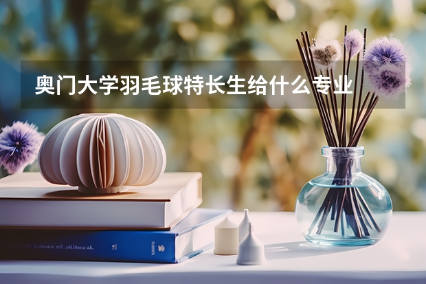 奥门大学羽毛球特长生给什么专业