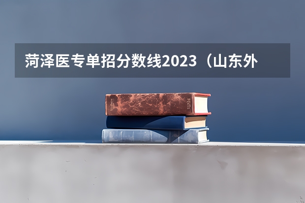 菏泽医专单招分数线2023（山东外贸职业学院单招分数线）