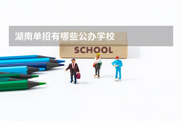 湖南单招有哪些公办学校