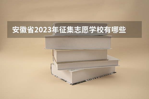 安徽省2023年征集志愿学校有哪些