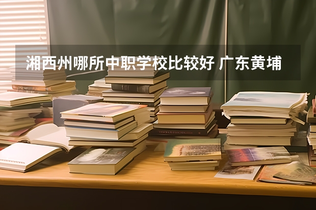 湘西州哪所中职学校比较好 广东黄埔区有哪些中职学校